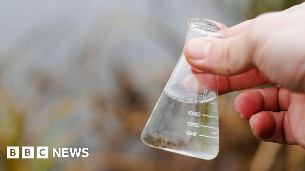 Major rivers in Suffolk to get routine sewage pollution tests