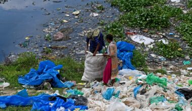 Treaty failure is not the end of the fight against plastic pollution | Environment
