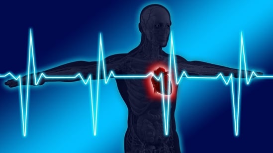 Maintaining a healthy lifestyle through regular exercise and a balanced diet can significantly reduce the risk of severe cardiovascular diseases.(Pixabay )