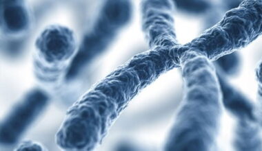 The Reality of Genetic Entropy