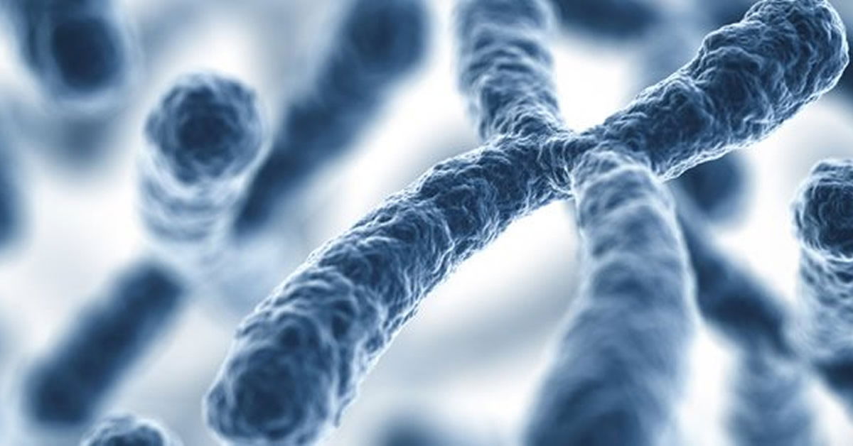 The Reality of Genetic Entropy