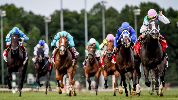 Cairo the One to Beat in Arlington Million Stakes