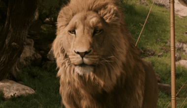 Narnia: The Magician’s Nephew Set Photos Give First Look at White Witch - Comic Book Movies and Superhero Movie News