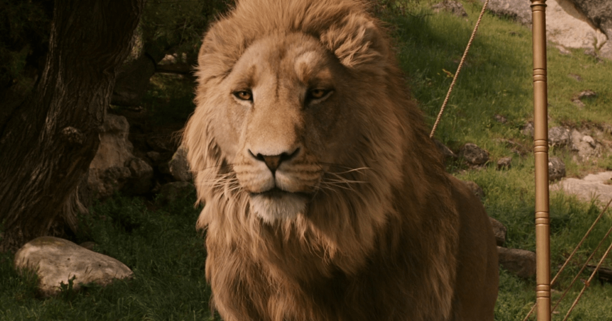 Narnia: The Magician’s Nephew Set Photos Give First Look at White Witch - Comic Book Movies and Superhero Movie News