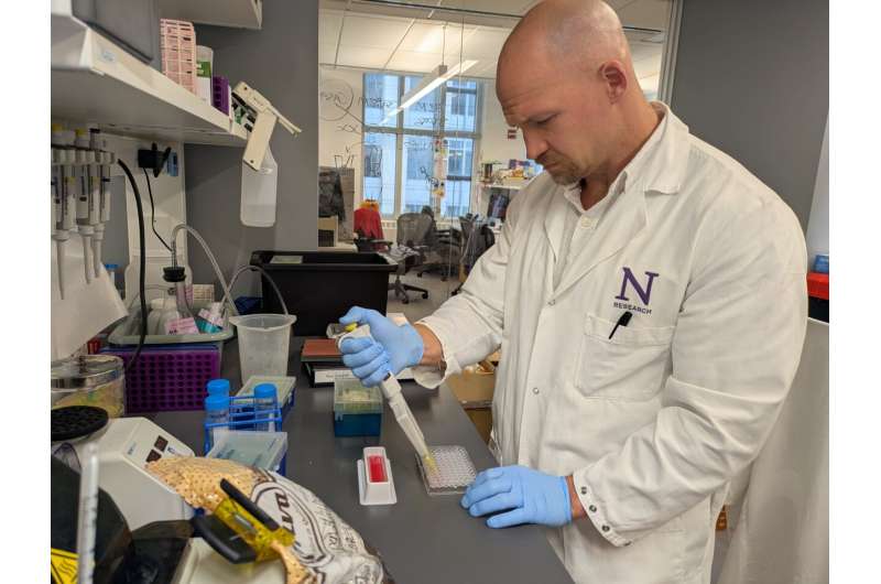 Asthma drug Zileuton blocks food allergy reactions in mice