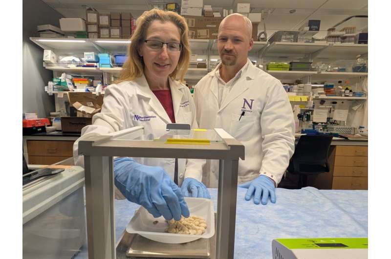 Asthma drug Zileuton blocks food allergy reactions in mice