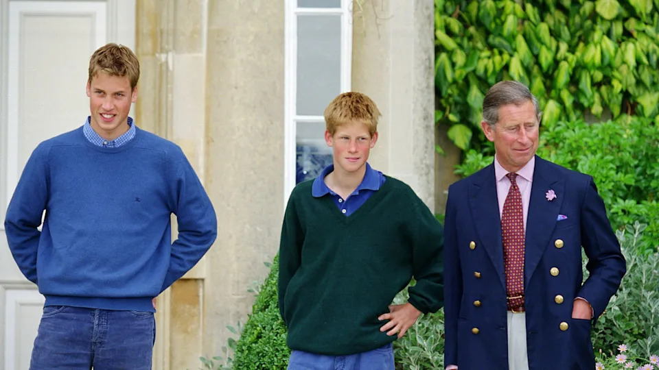 L-R: Prince William, Prince Harry and King Charles pictured outside Highgrove in 1999