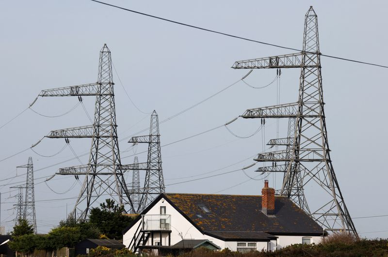 UK to give financial incentives to households near new electricity pylons