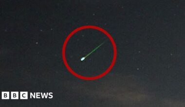 Perseids meteor shower lights up night skies
