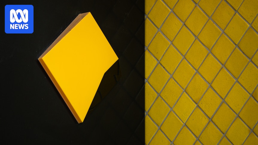 Commonwealth Bank defends giving problem gambler $13k in personal loans 
