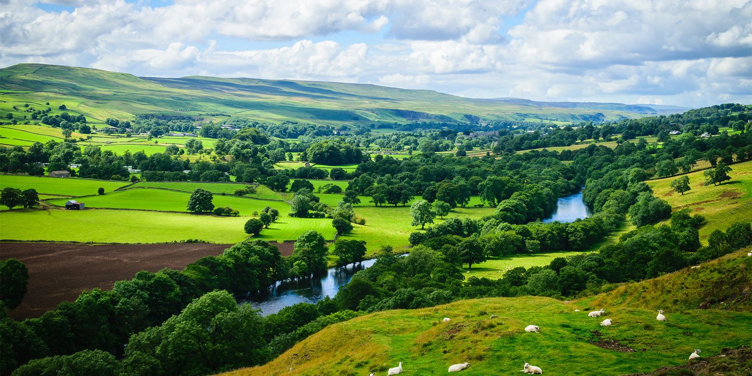 Revealed: the happiest places to live in Great Britain in 2024