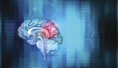 Study Ties Genetics and Common Anticoagulant to Risk of Intracranial Hemorrhage
