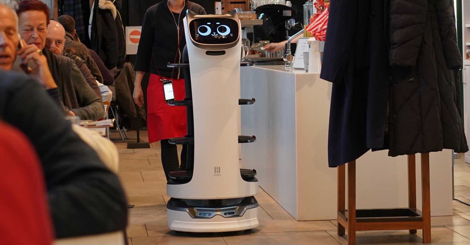 Chinese Pudu robots found open to hijacking • The Register