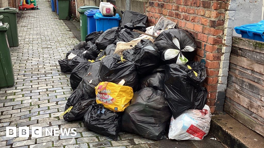 Goole fly-tipper dumped dozens of bags of rotting rubbish