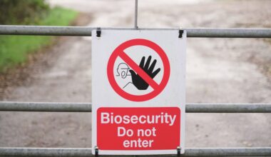 Daera urges NI poultry keepers to remain vigilant to AI