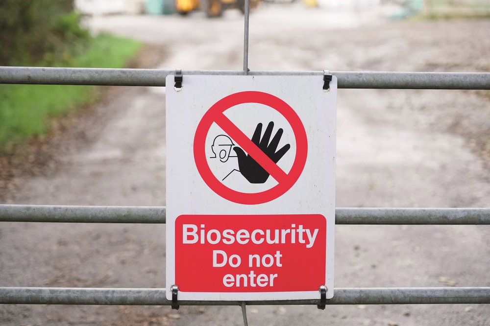 Daera urges NI poultry keepers to remain vigilant to AI