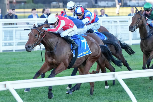 Niance winning the Bel Esprit Stakes at Caulfield - image Grant Courtney