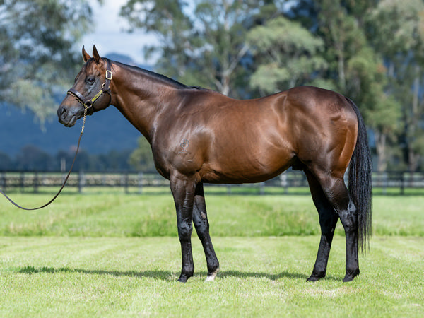 Zoustar, click for more info.