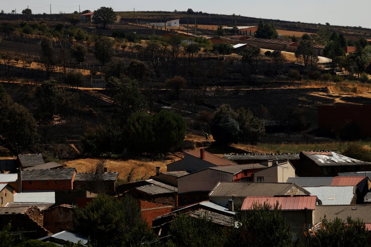 Fire-damaged fields are seen Riofrio de Aliste, Spain, following a wildfire in August 2025.