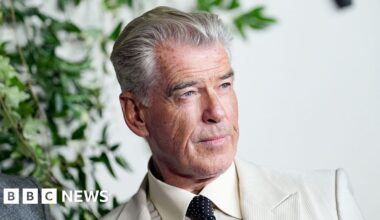 Pierce Brosnan felt 'huge responsibility' towards fans of the book