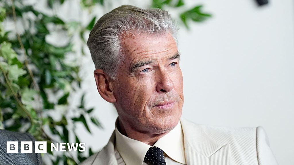 Pierce Brosnan felt 'huge responsibility' towards fans of the book