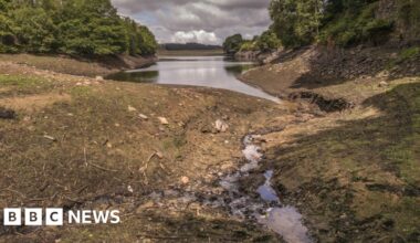 Yorkshire Water reservoir levels at 'historic low' during drought
