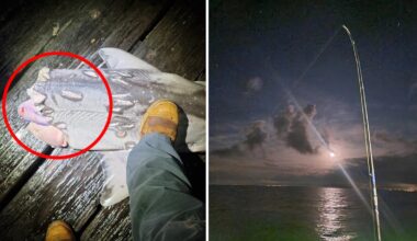 Aussie fisherman stunned by brutal late night discovery off pier