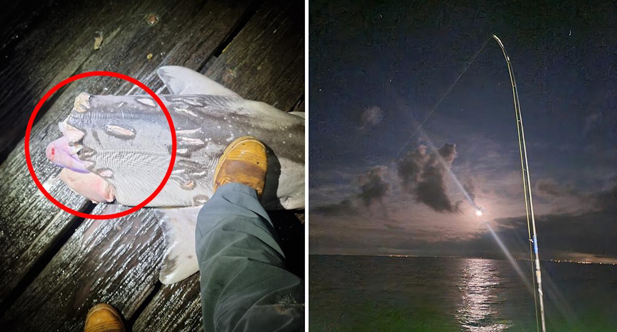 Aussie fisherman stunned by brutal late night discovery off pier