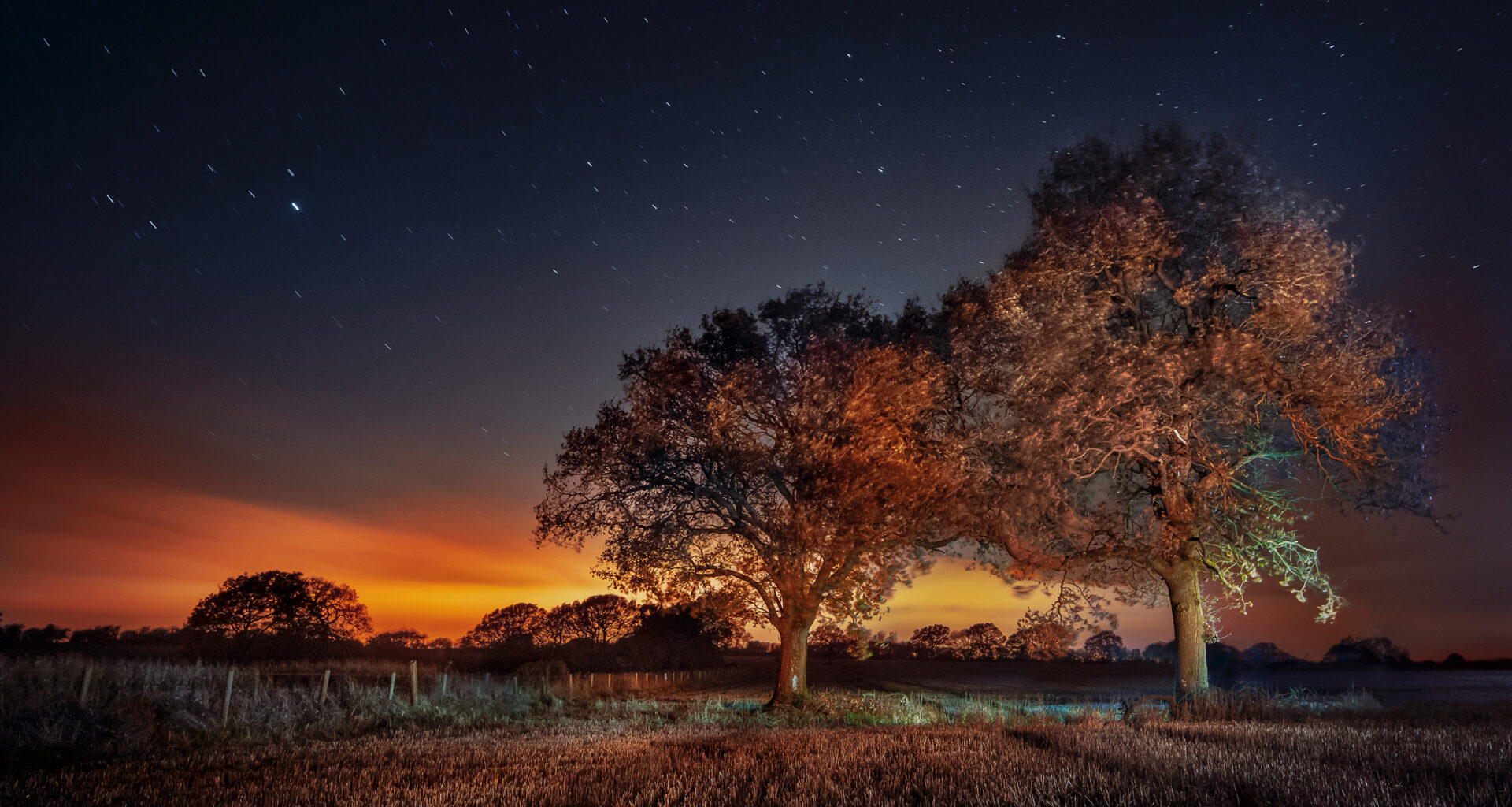 Two illuminated trees stand in a field under a starry night sky, with a warm glow of orange from the horizon and gentle lighting effects.