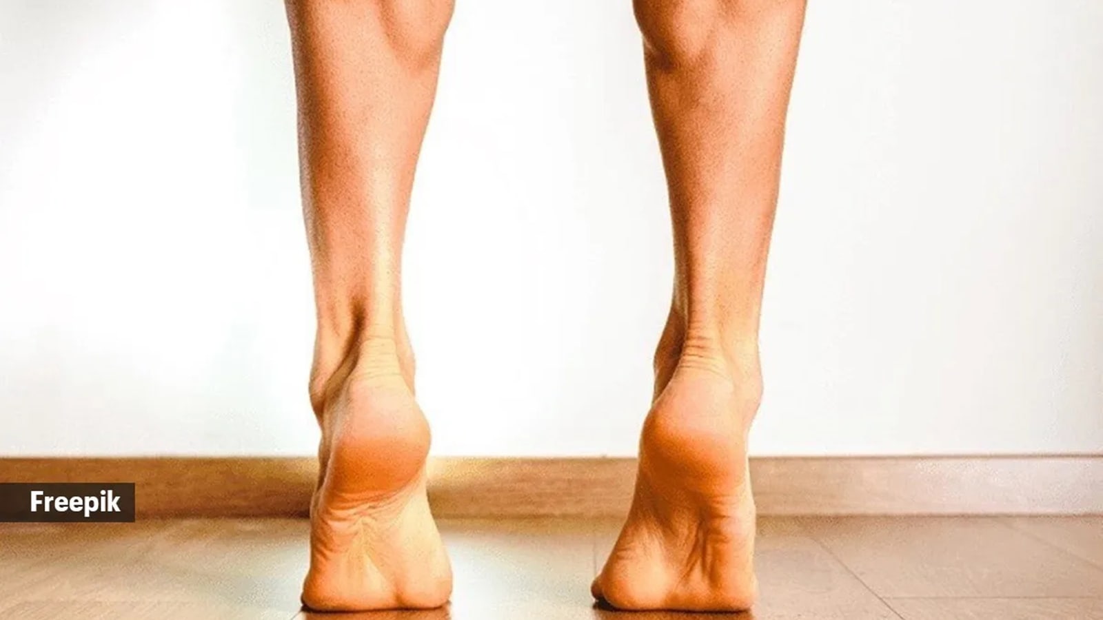 calf muscles