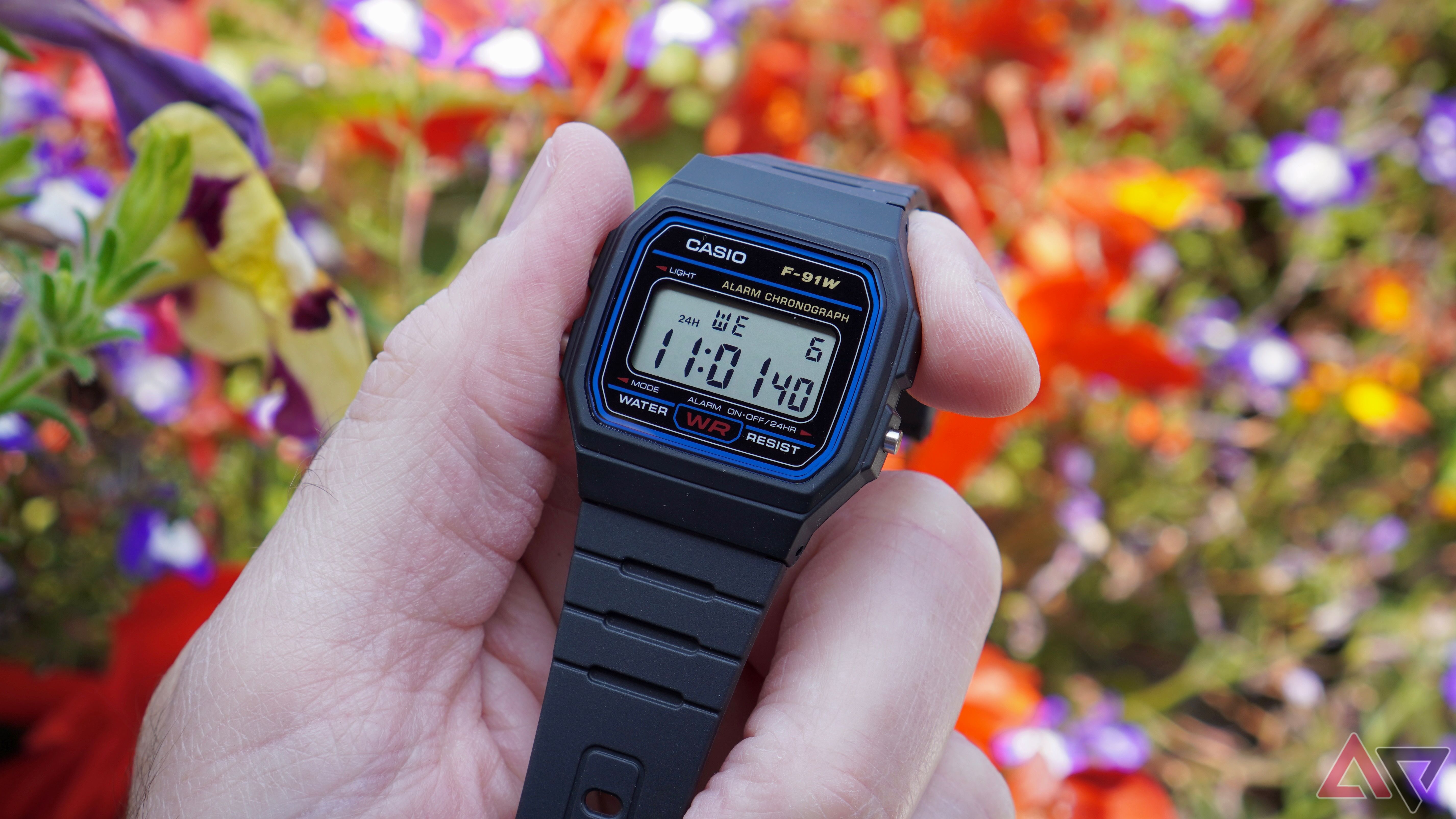 A person holding the Casio F91W watch