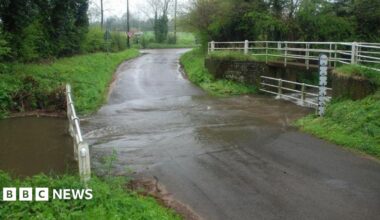 A ford with a river running over the road. Next to the ford is a bridge. There are white railings on both of them, trees on both sides of the road, and a road junction in the distance.