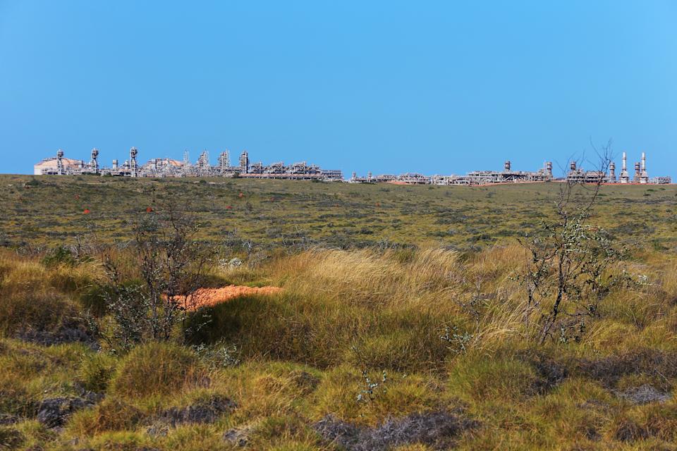 Grasslands of Barrow Island with Chevron's industry in the background.
