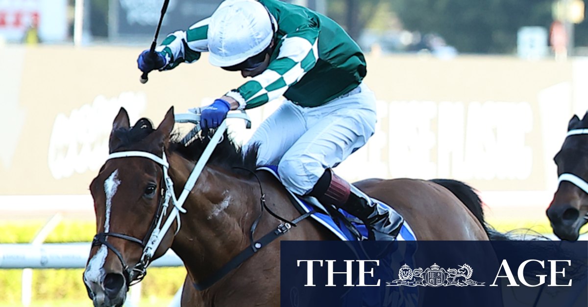 Chris Waller backs Via Sistina to handle heavy challenge in Winx Stakes defence