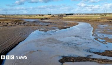 The main channel of Greatham Creek looking upstream from the bridge on Tees Road (A178). The mudflats support plentiful bird life.