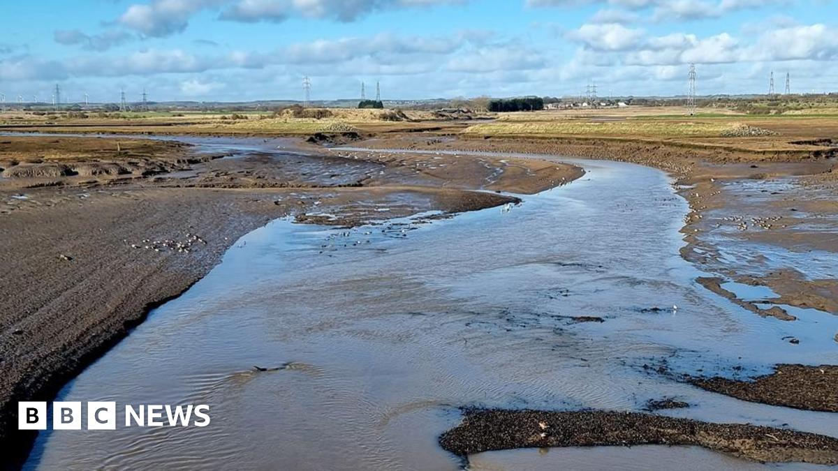 The main channel of Greatham Creek looking upstream from the bridge on Tees Road (A178). The mudflats support plentiful bird life.