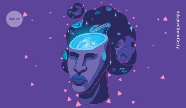 Can creativity in science be learnt? These researchers think so