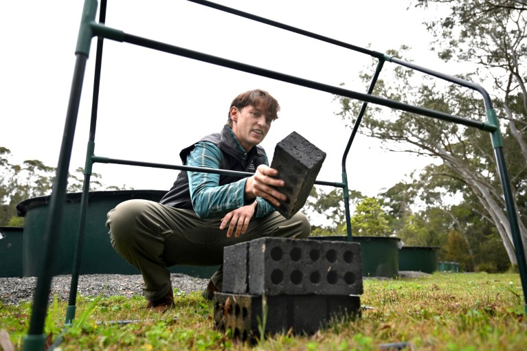 Low angle view of Anthony Waddle placing bricks to build one of his frog saunas.