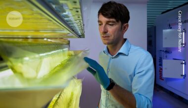 turning algal protein into mock meat