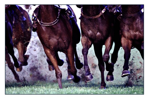 Racing returns to Moruya on Tuesday.