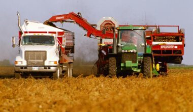 Canada's economy 'back down to earth,' shedding 41K jobs in July as youth unemployment climbs to highest level since 2010