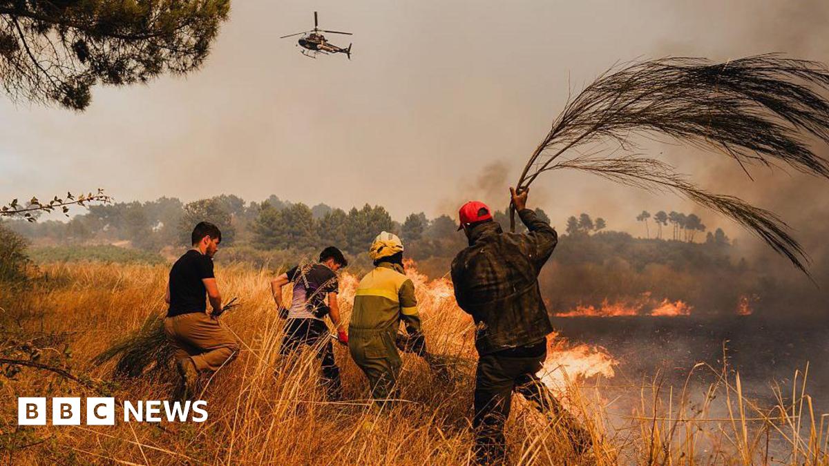 Airborne brigadiers and local residents fight a wildfire to prevent it from reaching houses in Vilela Seca, Portugal, on 19 August 2025.
