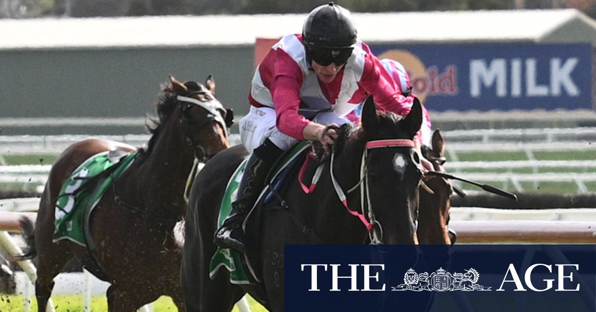 Jockey Will Gordon fined $2500 by Victorian Racing Tribunal for purchasing horse for Darren Weir’s daughter Taige Weir