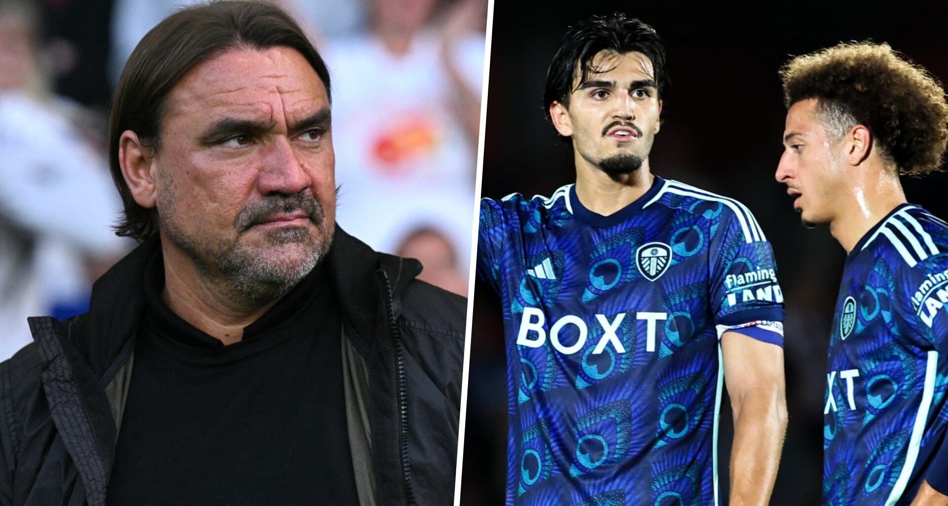 Daniel Farke's dismal Carabao Cup stats show Leeds United defeat to Sheffield Wednesday is no surprise