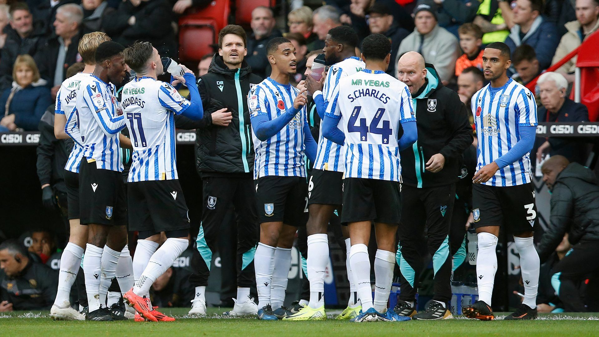 danny rohl and the sheffield wednesday players-1