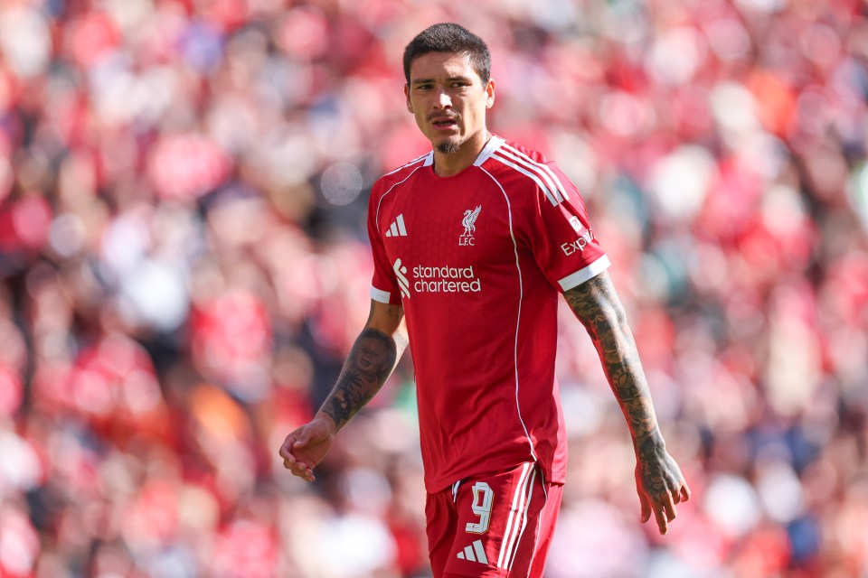 Nunez completed a £46million move to the Saudi Pro League, ending his three-year stay with Liverpool