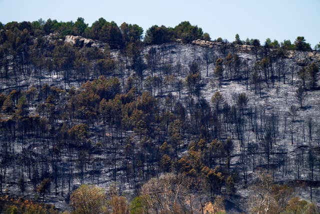France Fires