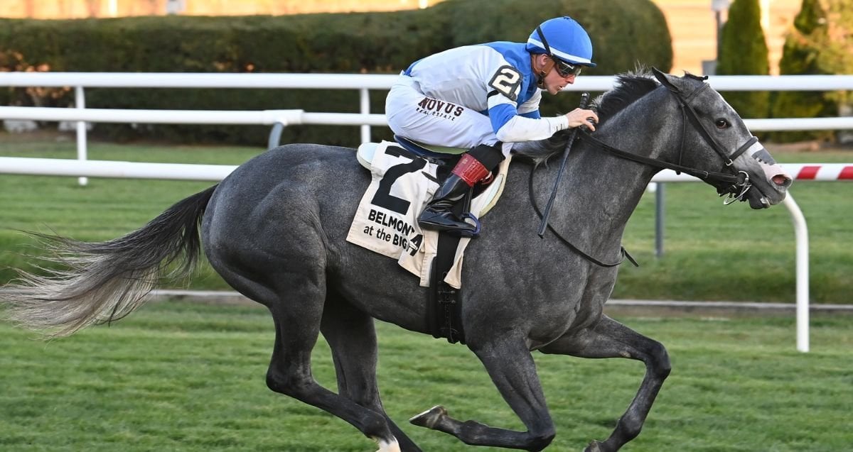 Disco Star looks to break through in NYSSS Statue of Liberty