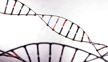 Are hibernation 'superpowers' hiding in human DNA?