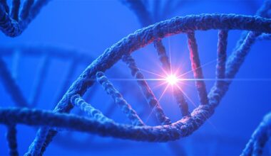 Successful Gene Editing Demonstrated for a Rare Neurodevelopmental Disorder